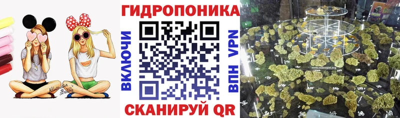 Купить закладку Наволоки ОМГ ОМГ зеркало  Alpha-PVP  ГАШ  МАРИХУАНА  Кодеин 