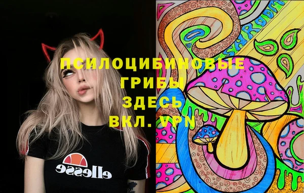 ПСИЛОЦИБИНОВЫЕ ГРИБЫ Богородицк