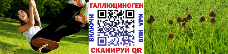 Псилоцибиновые грибы мицелий  Наволоки 